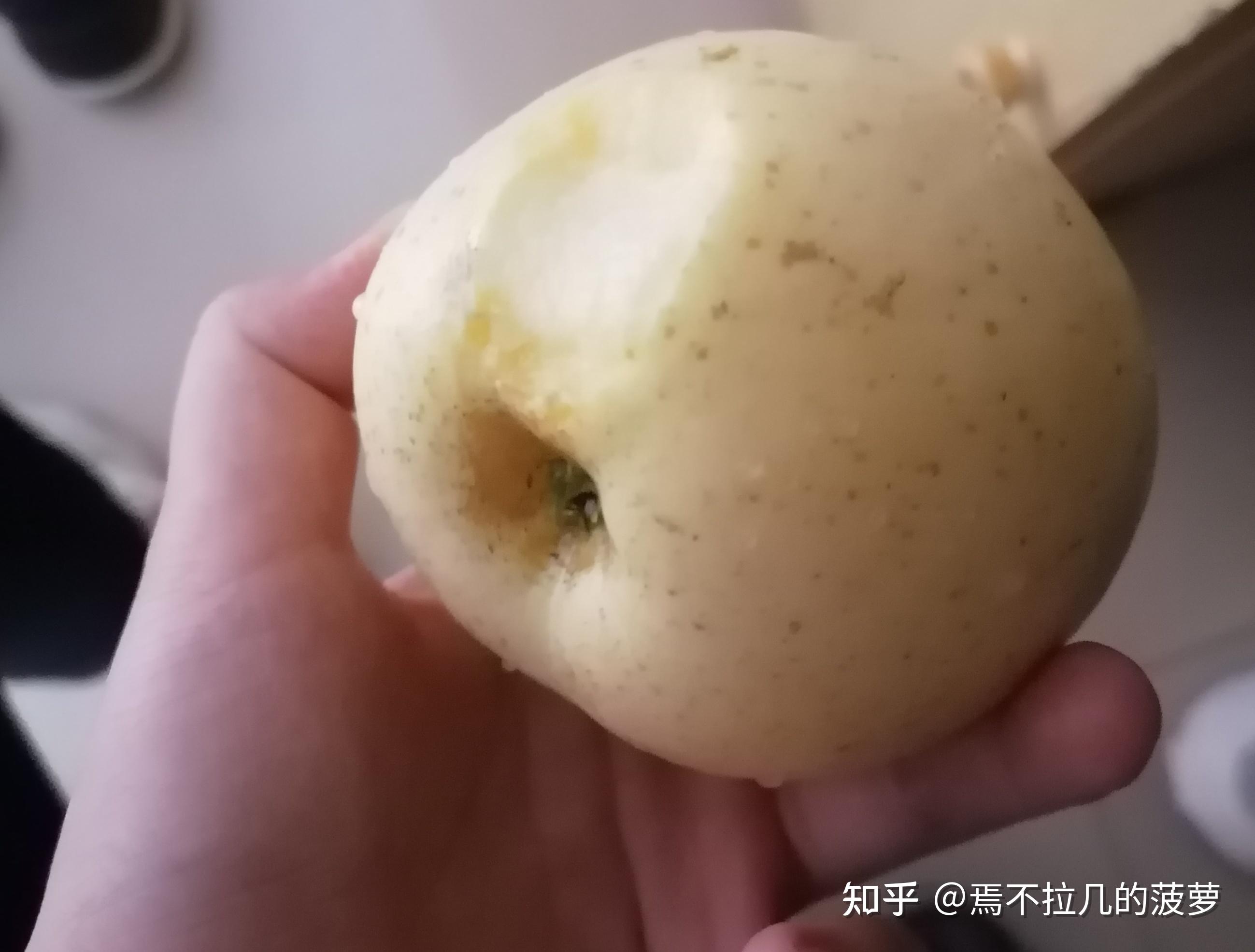 15kg晚上吃了一个大苹果和一个小芒果中午正常吃饭(吃到饱的那种)早上