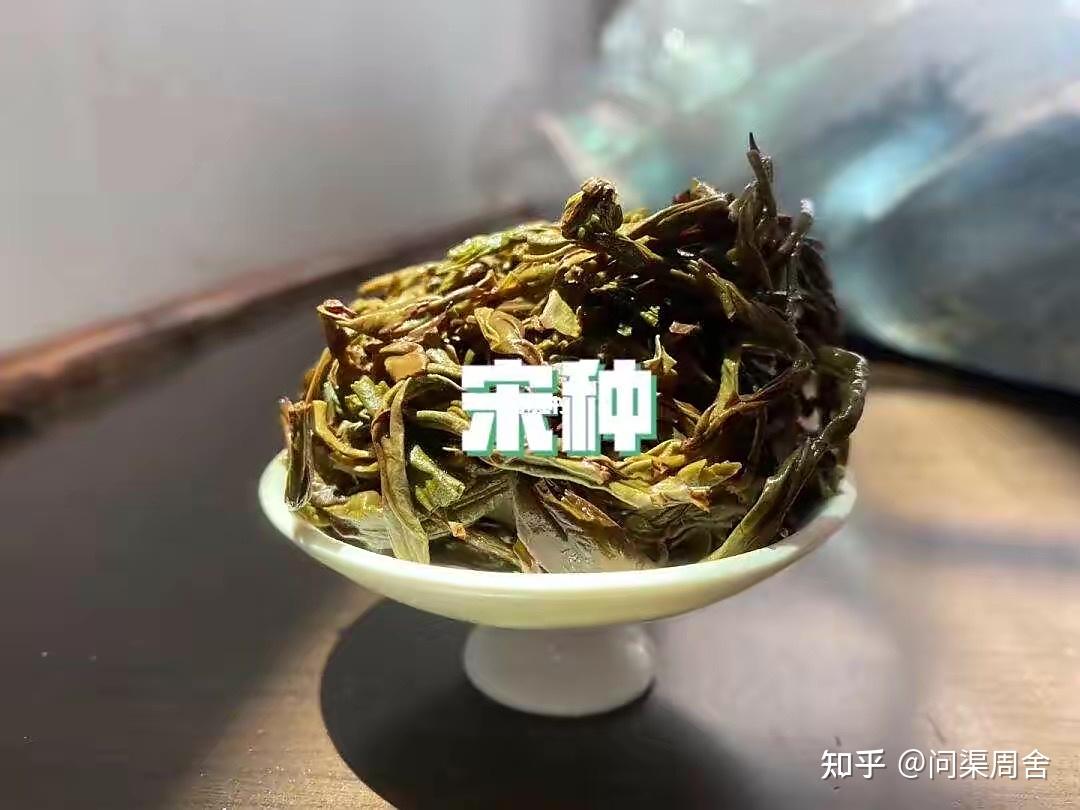 乌龙茶宋种凤凰单丛