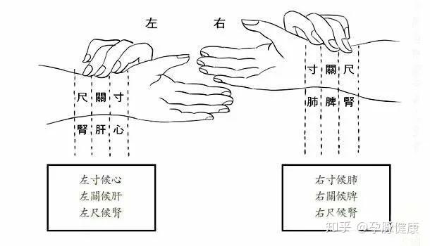 搭脉怎么知道怀孕_牛怀孕怎么知道