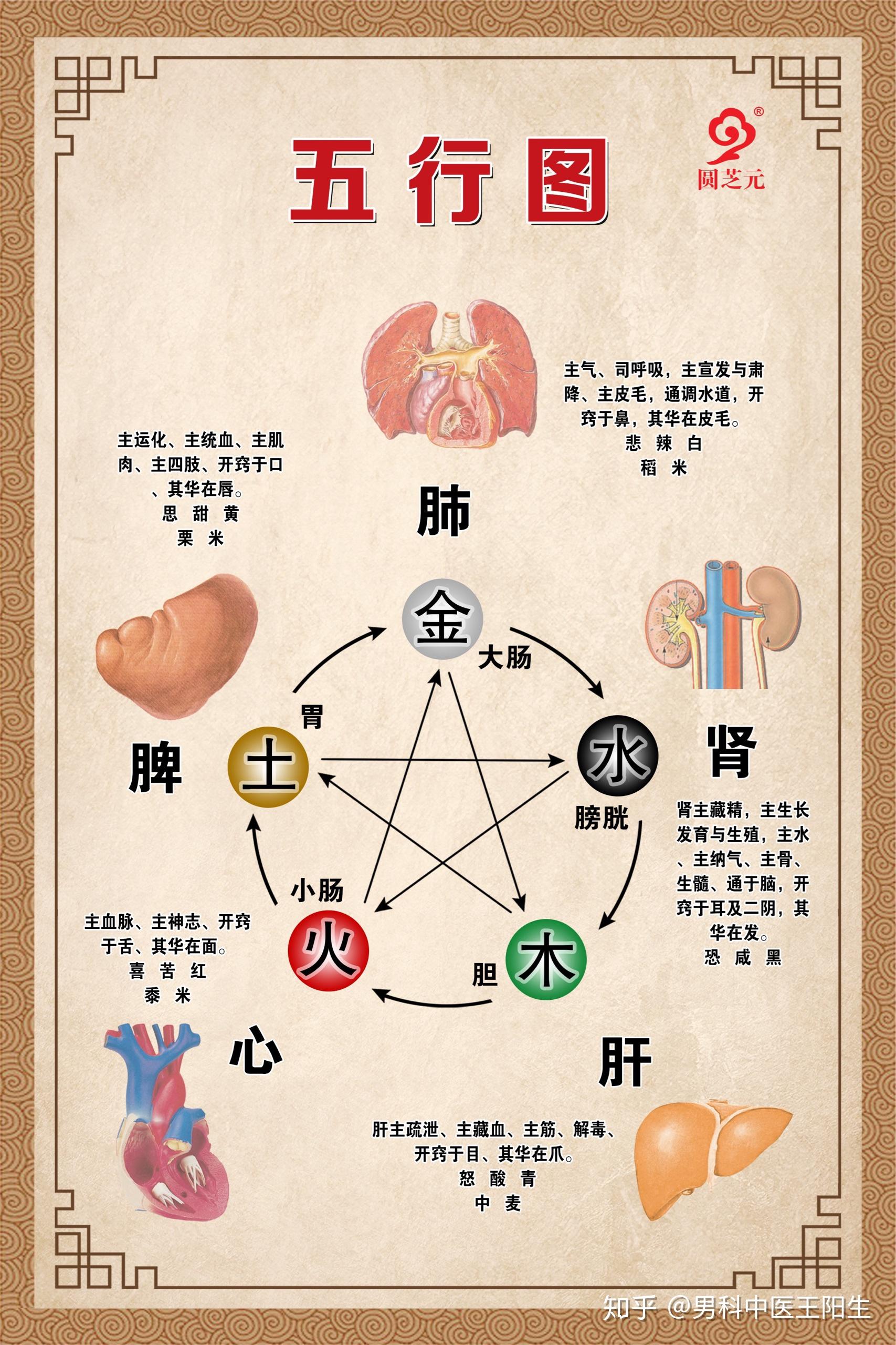 一个素体阳虚的人,在白天会感觉好一些.