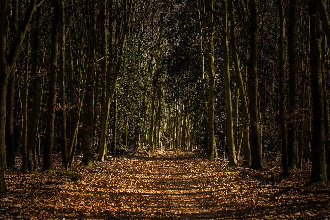 鼓楼小区配套设施