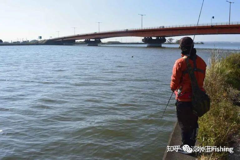 路亚·技能丨琵琶湖当红导钓使用巻物挑战霞ヶ浦水系（中）【永野总一朗】 知乎