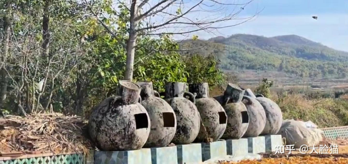 李紫嫣：愿以寸心寄华夏，且将岁月赠山河 - 知乎