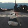 慕尼没有黑