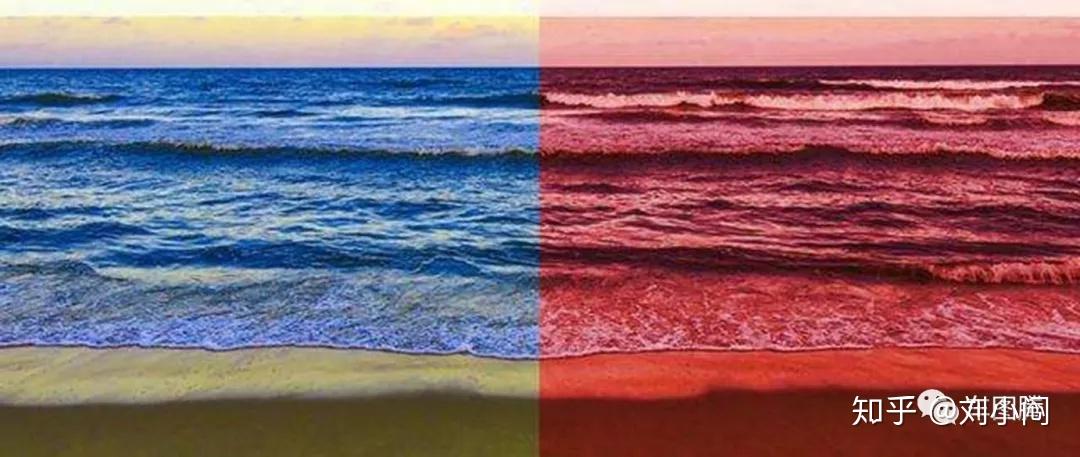 2018年,陈曦口中的"半红半蓝"几乎彻底变红,在途观l换代并定位为中型