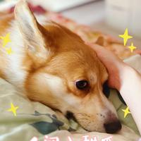Zhihu profile picture for @leonan