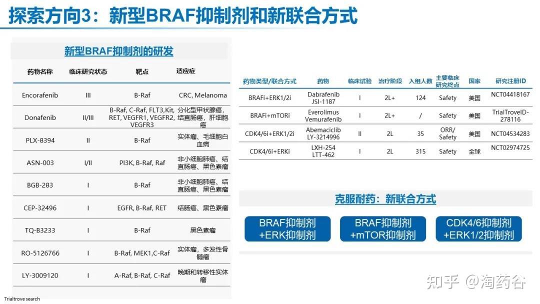 Braf V600e突变非小细胞肺癌全程管理 知乎