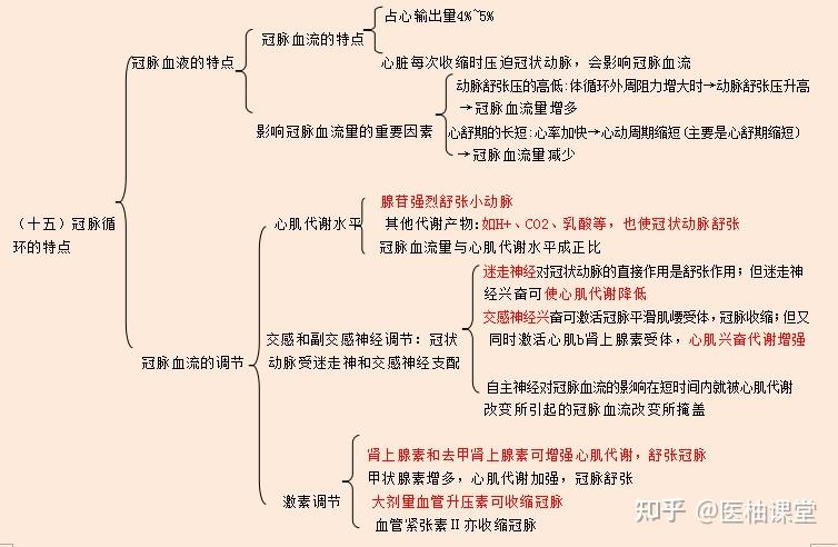 生理学框架图医学生必备