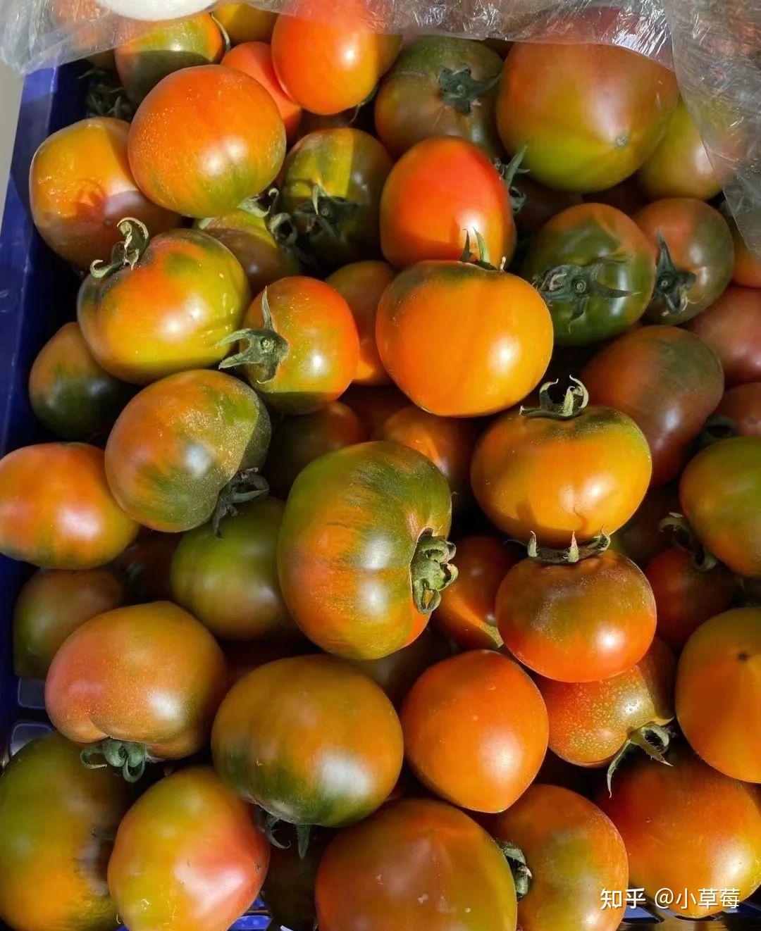 自然成熟的有机铁皮柿子营养价值超高健康