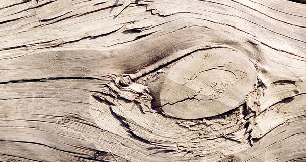 实木家具木料挑选关注点节子