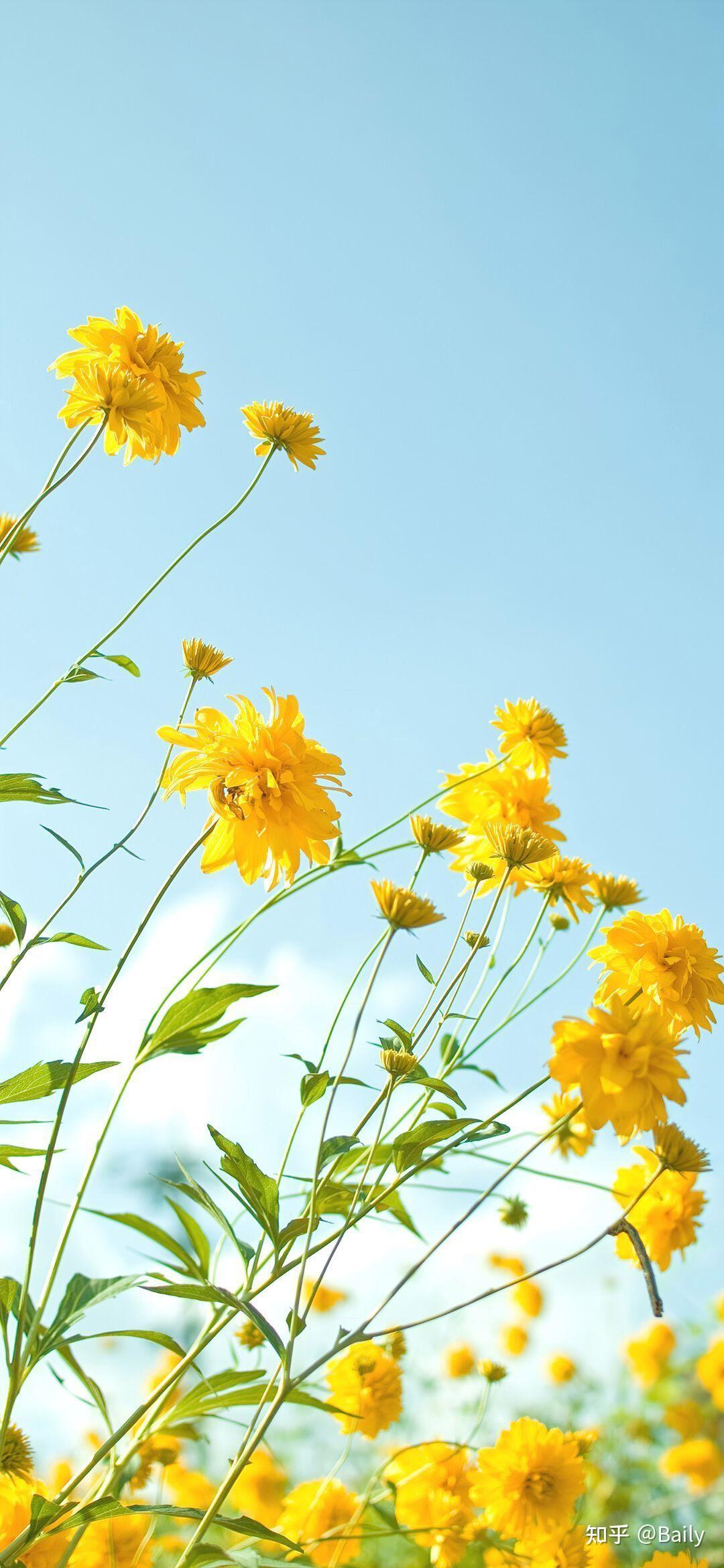 可以分享一下你的手机屏保吗