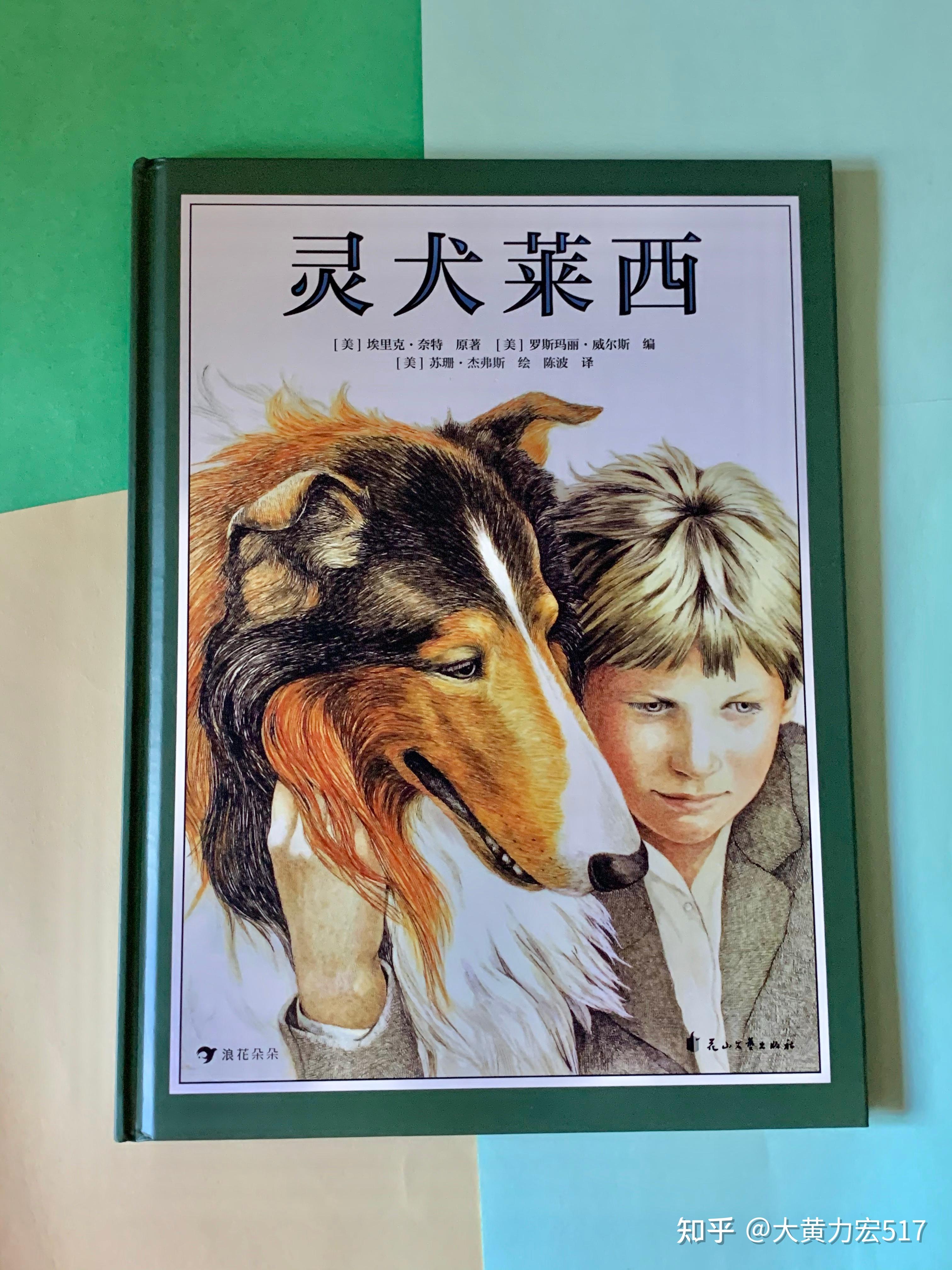 好喜欢这只灵犬莱西