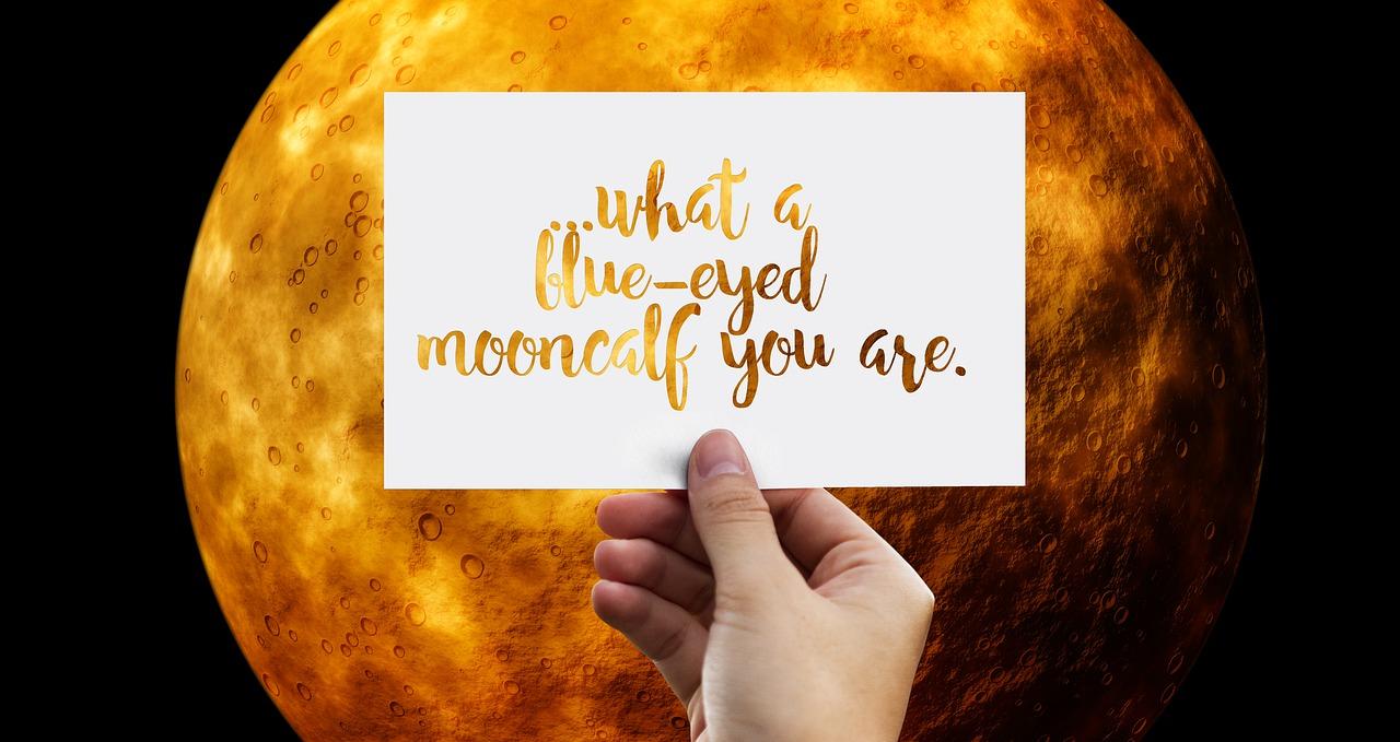 3. 逐项信息核对