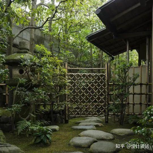 干货┃竹在景观中的