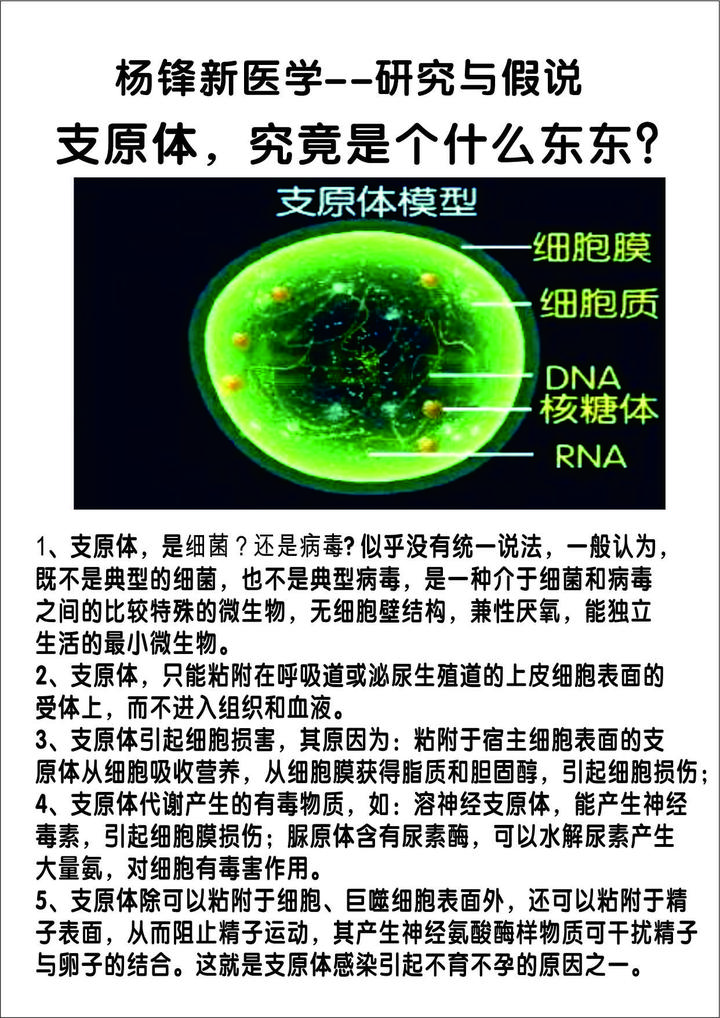 假说支原体的克星早已存在苯酚双氧水臭氧