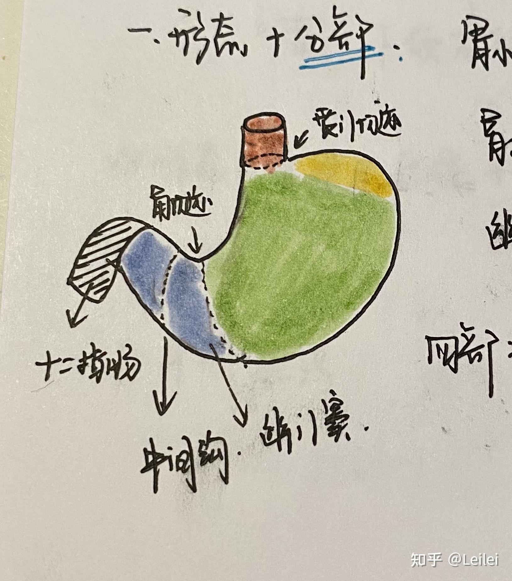 系解绘图 - 知乎