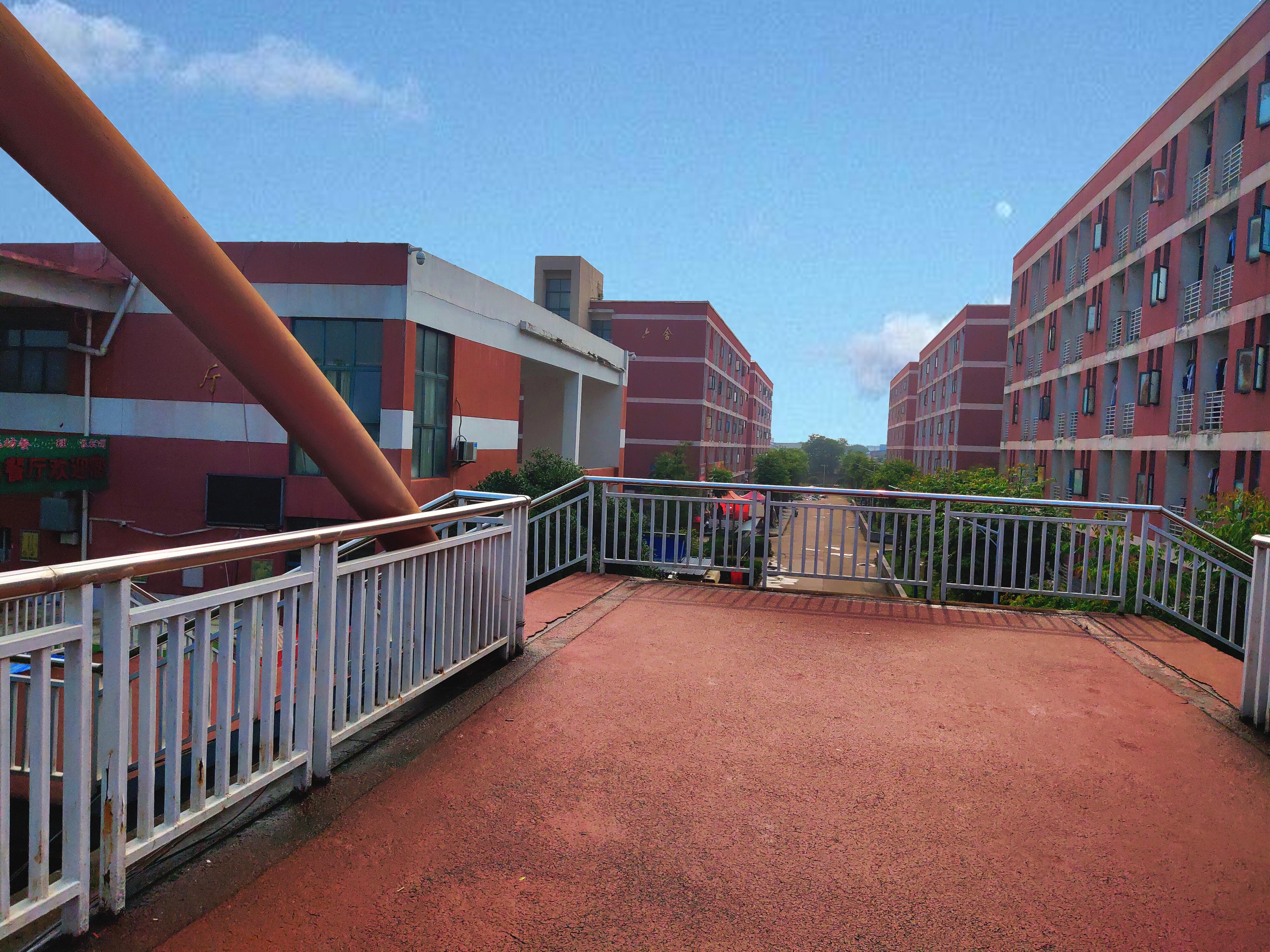 弘道考研全日制集训营