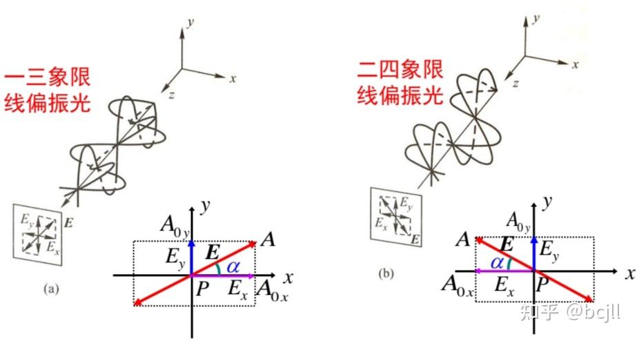 偏振光图解图片