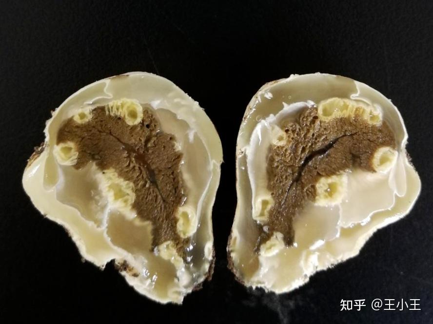 养殖菌菇赚钱吗知乎(菌菇养殖需要投资多少钱)