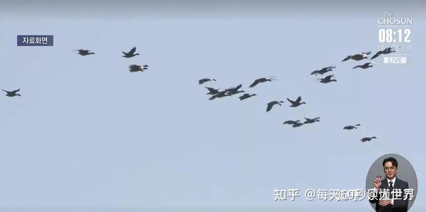 12月29日,星期四,在这里每天60秒读懂世界! 12月29日,星期四,在这里每天60秒读懂世界!