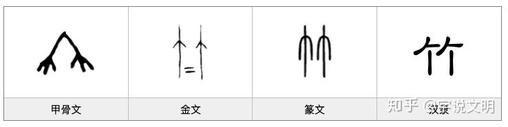 竹——汉字的字元·草木植物 - 知乎