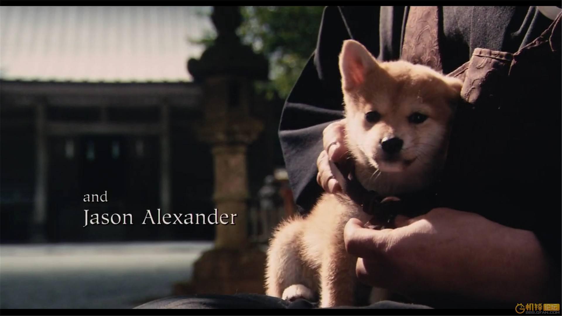 敢言敢说吃狗肉的你请花5分钟看完这部电影忠犬八公的故事