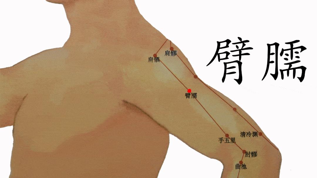 中医穴位——臂臑穴:消结节、痞块 - 知乎