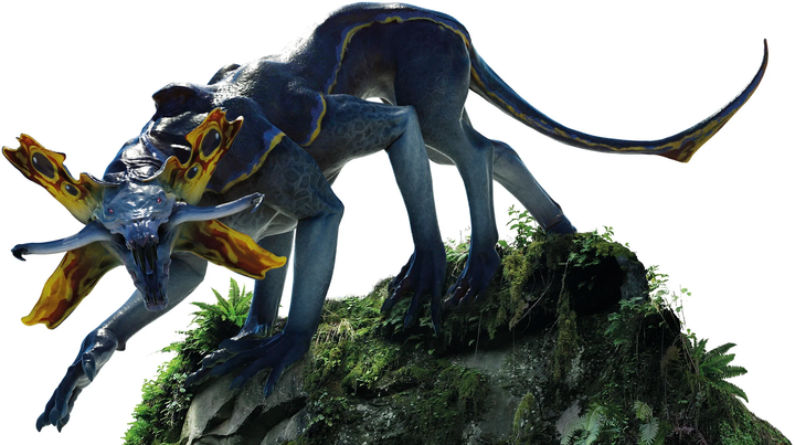 解密《阿凡达》生物档案:它们的设计合理吗?