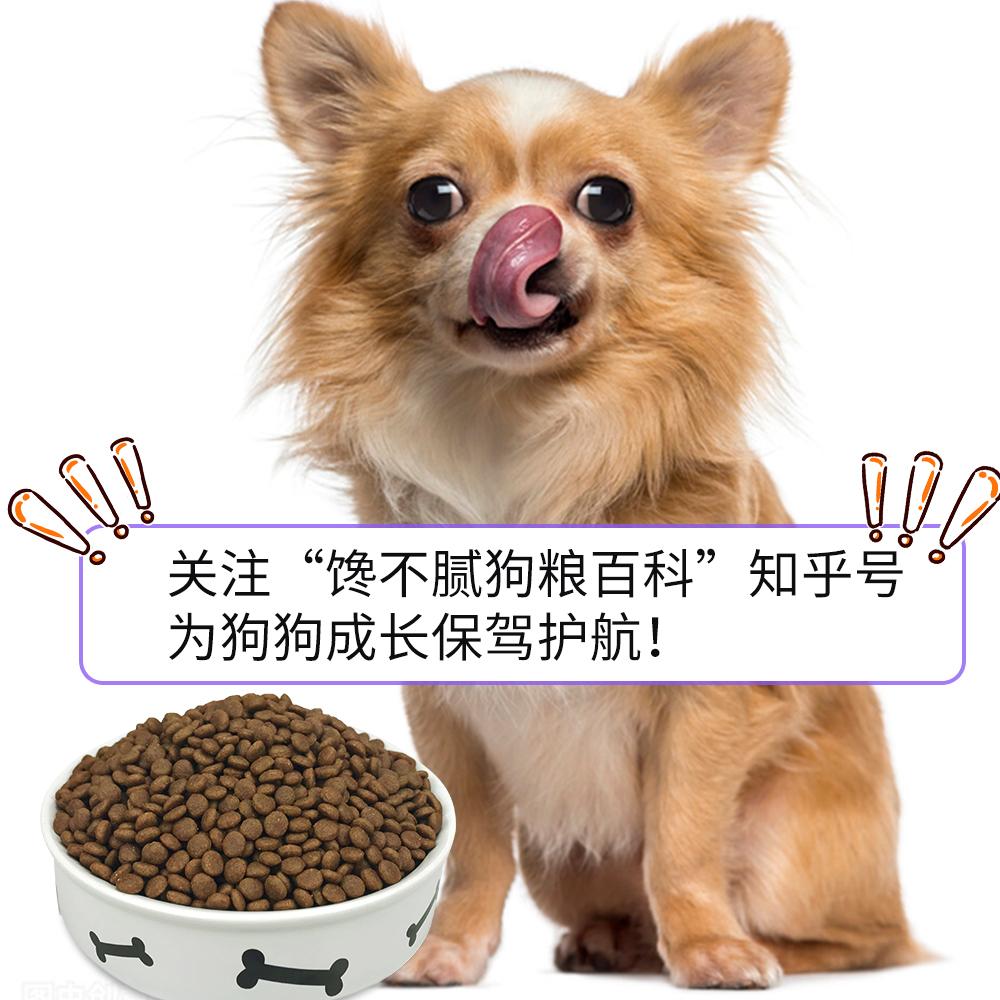 自己怎么做狗狗鸡肉干 v2-74ac652d1aa57fc73b31fa04b07407bc_r.jpg