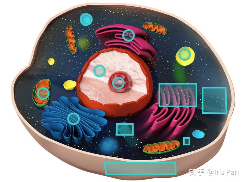 超强的学习能力是怎样练就的? 超强的学习能力是怎样练就的?