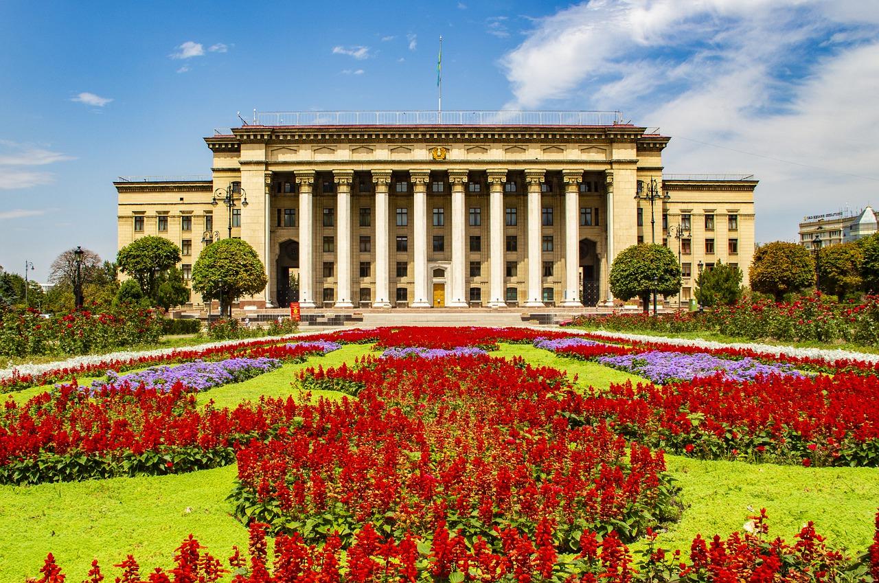 门口花坛种什么花树
