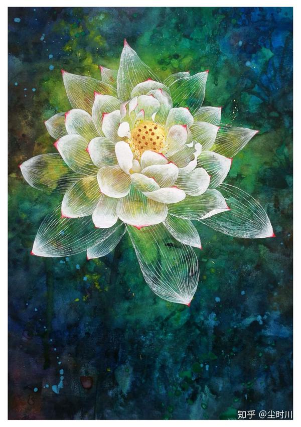 27莲花横跨维度的神花