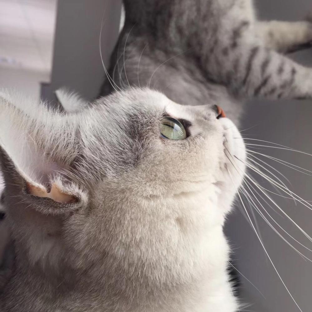 在墨墨科技(墨墨背单词)工作是一种怎样的体验