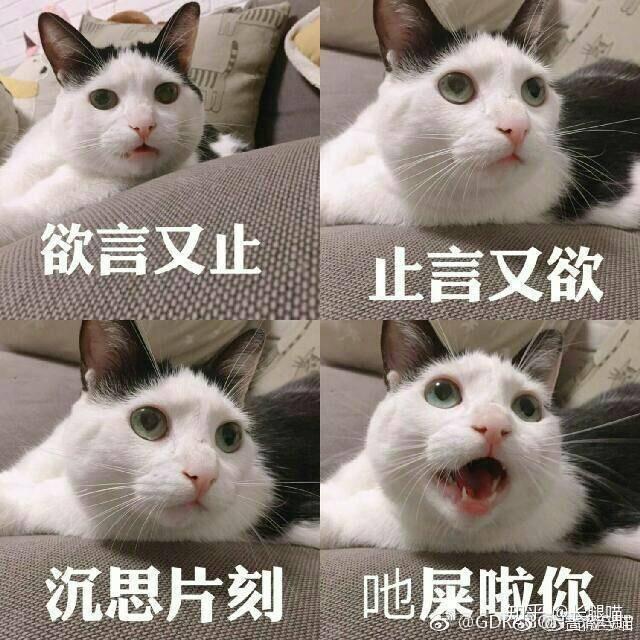 可不可以分享一些自己觉得超搞笑的表情包