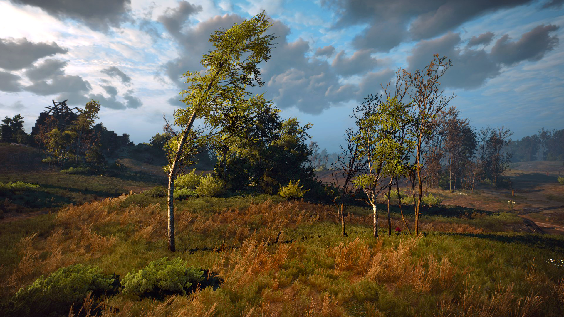 有哪些电脑壁纸是你不想换的?