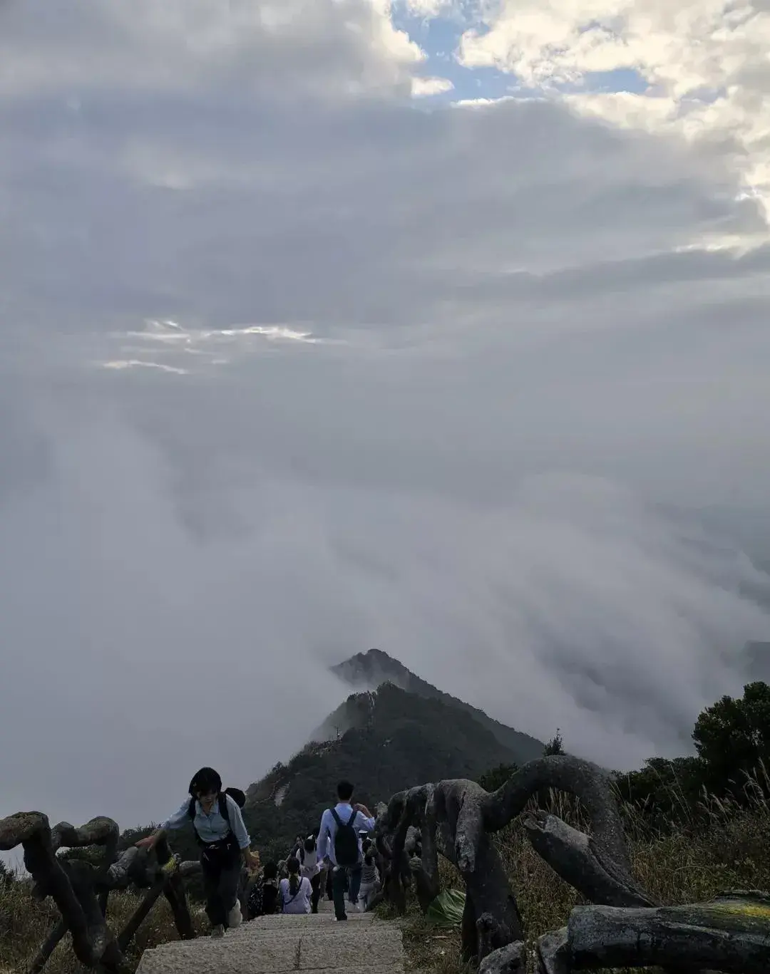 深圳 | 梧桐山