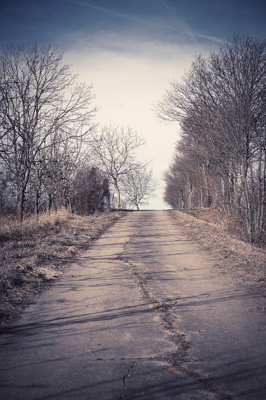 1. 地段优势解析