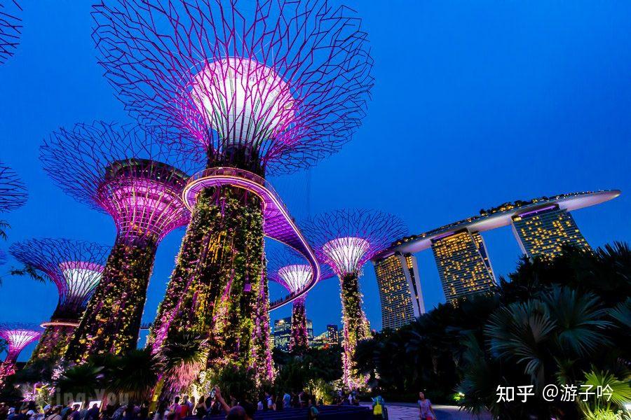 【新加坡滨海湾花园攻略】天空树、空中步道、花穹、云雾林门票与交通全解析 - 知乎