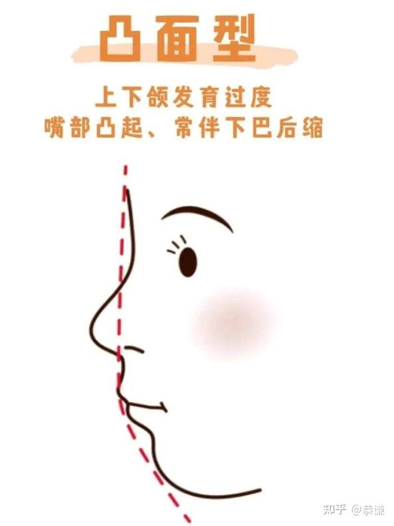 《面相》之脸型 - 知乎