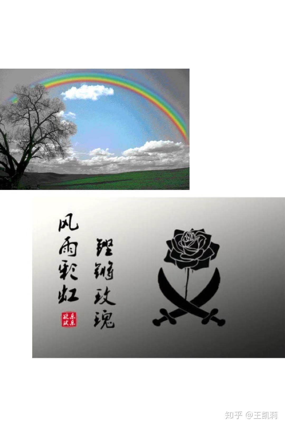 铿锵玫瑰何超琼接盘上海地块:爱国爱澳是家训,澳门明天一定更美好