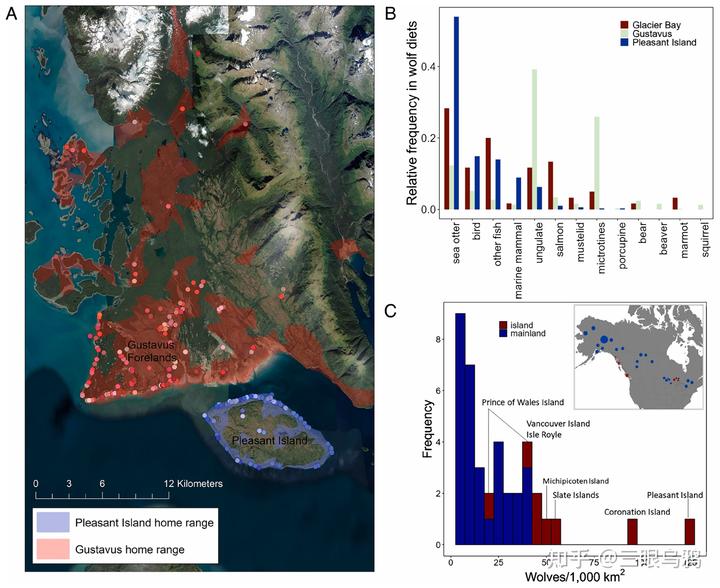 如果将 20 只狼和 500 只鹿放进同一孤岛，最后谁能活下来？
