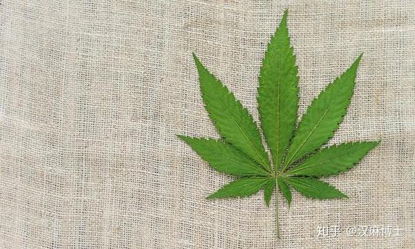 大麻可做建筑防火材料 知乎
