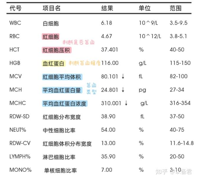 贫血分类表格图片