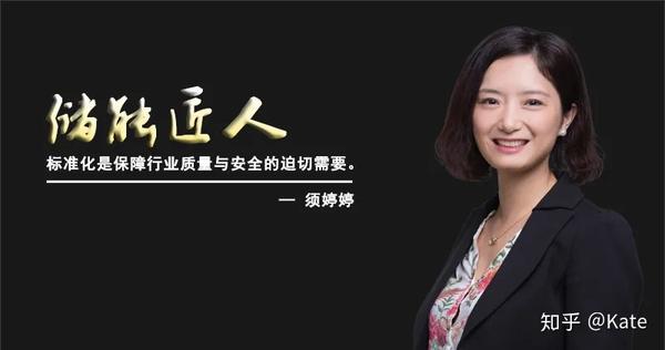 储能匠人92期 须婷婷 深入解读储能行业发展困境 知乎