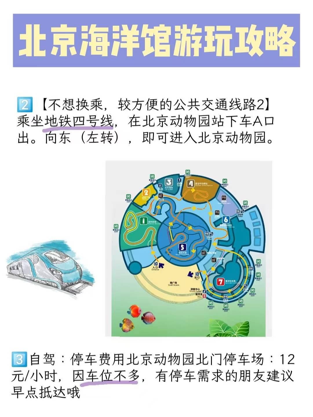 北京海洋馆行李寄存贴士,北京海洋馆门票交通游玩路线攻略