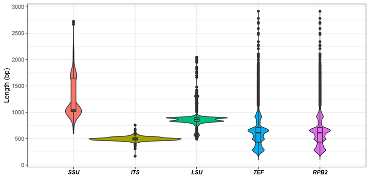 r-geom-boxplot-geom-violin