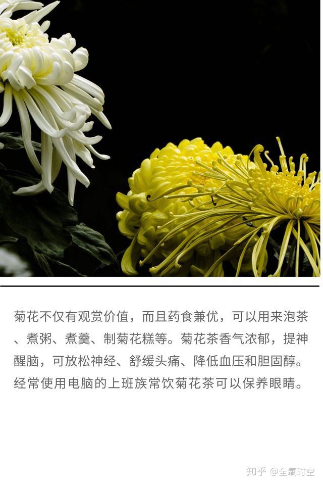 v2-755f7b8ca545609a0e6b8be0357c5514_r.jpg
