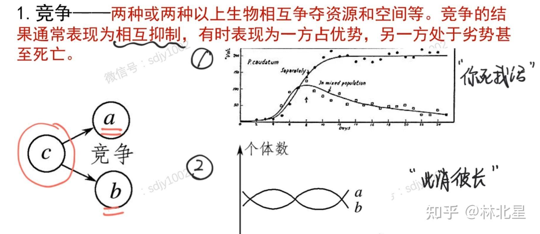 种间关系:捕食(谁先变谁被吃)生殖时滞,竞争(波峰对波谷),寄生(一个有