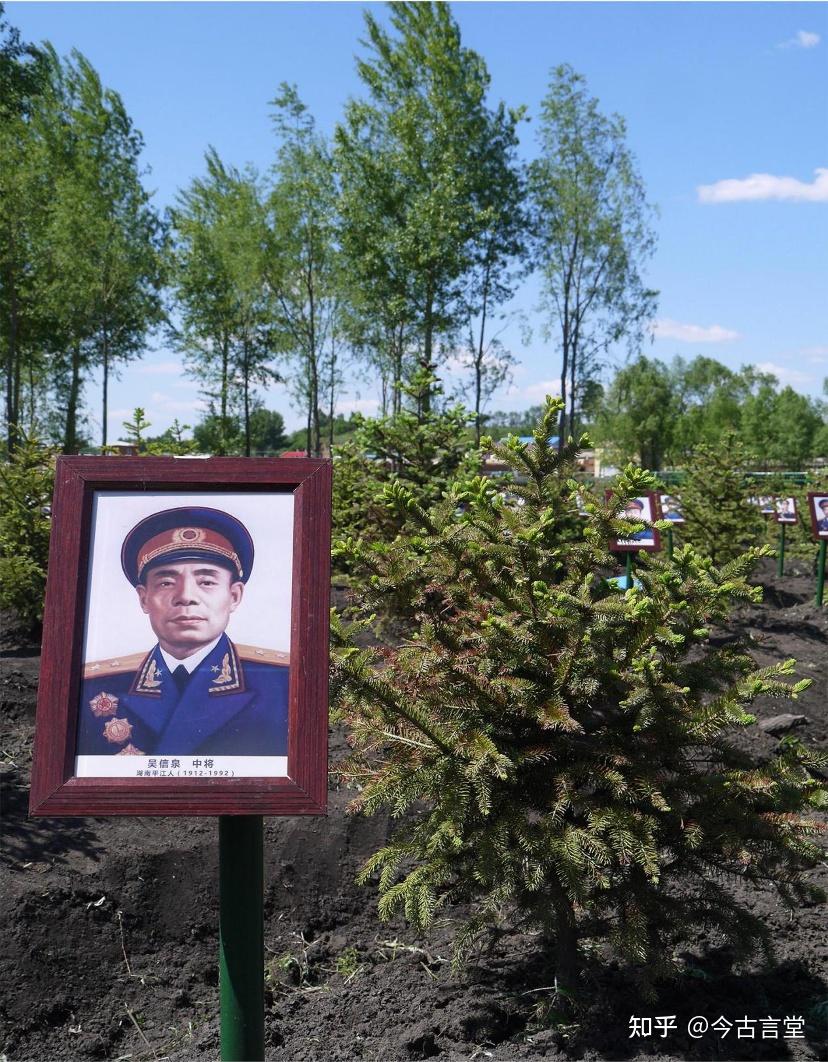 悍将吴信泉:抗美援朝三年未尝一败,被麦克阿瑟奉为"可怕的人" - 知乎