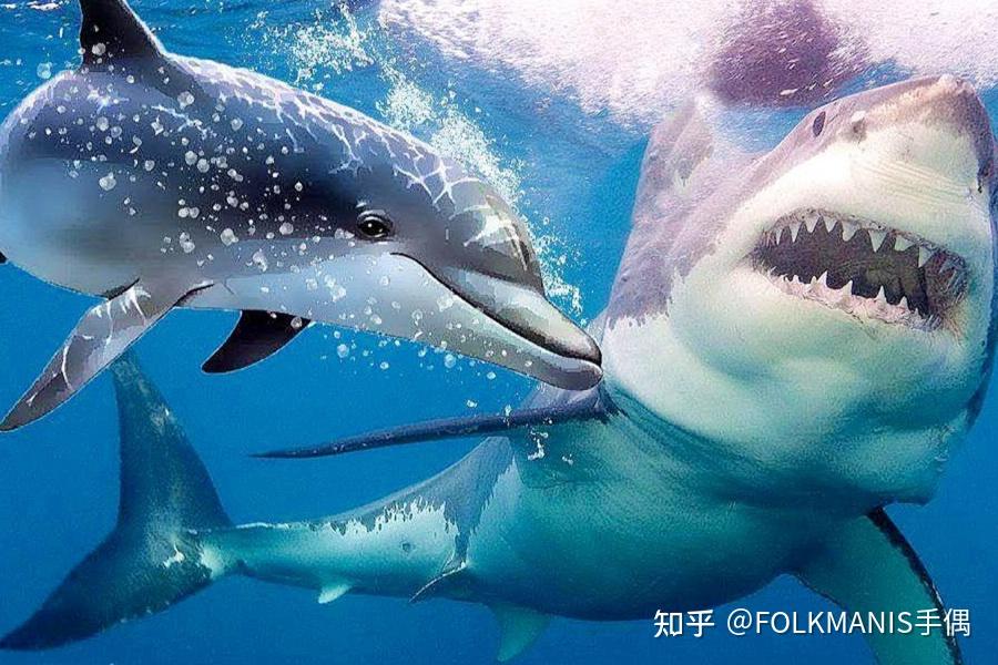 蓝鲸vs鲨鱼图片
